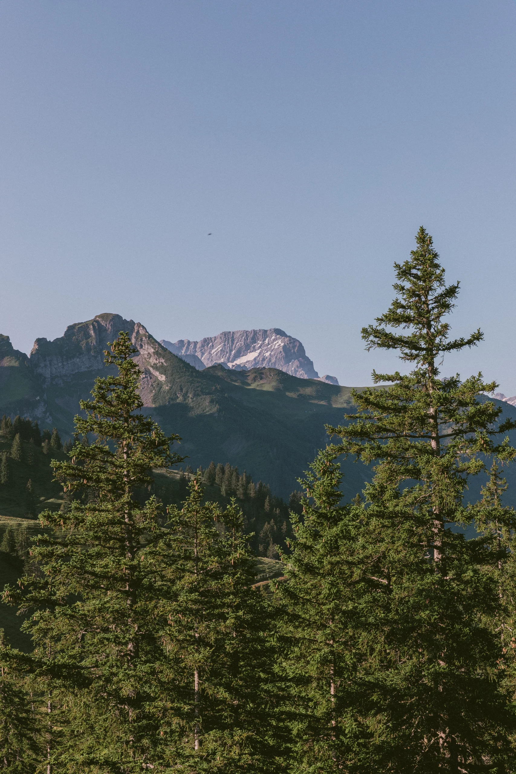 Séjour dans les Alpes Vaudoises