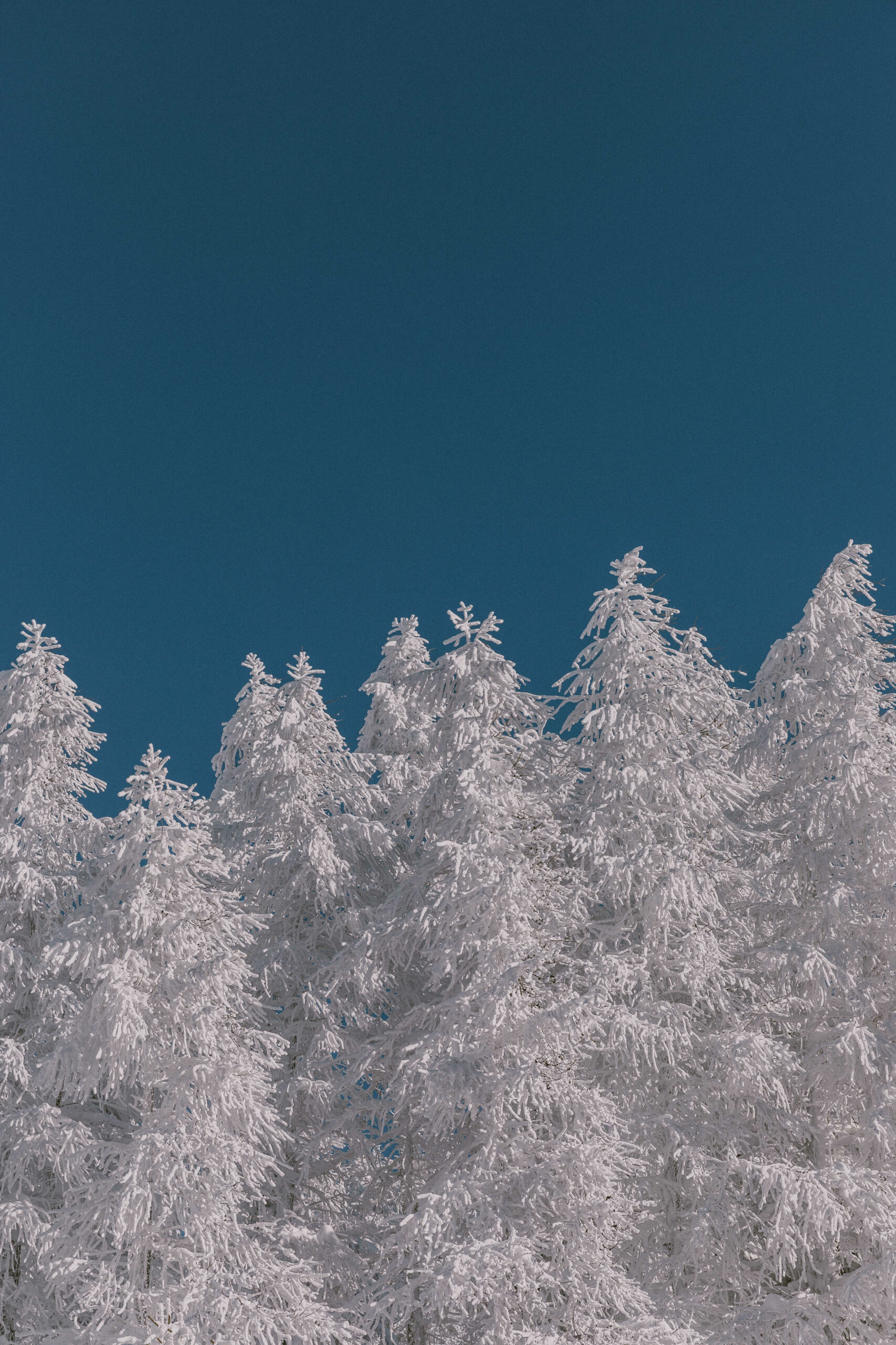 Week-end à la Rosière