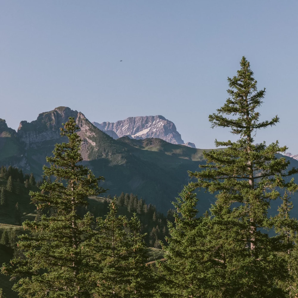 Séjour dans les Alpes Vaudoises