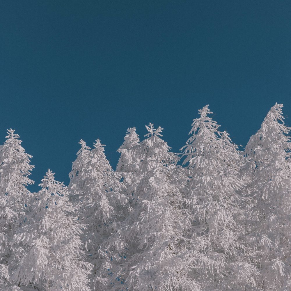 Week-end à la Rosière