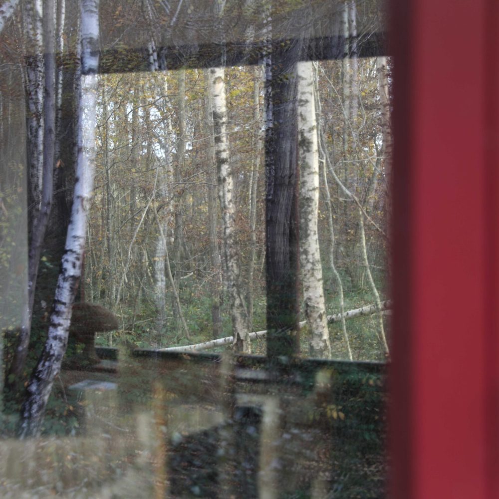 week-end-repère-sauvage